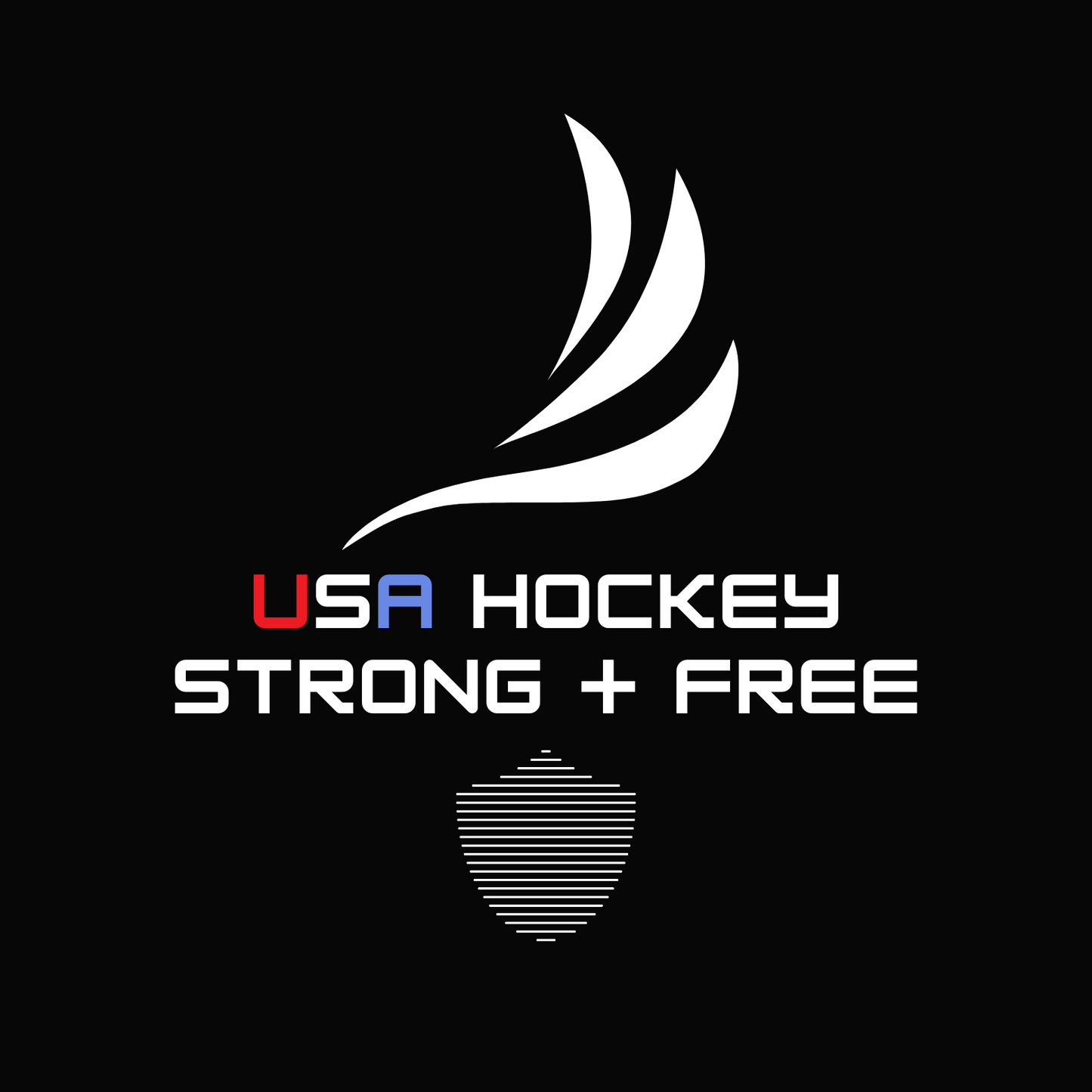 Men's hockey tee, black. S+F custom logo design, USA hockey I.