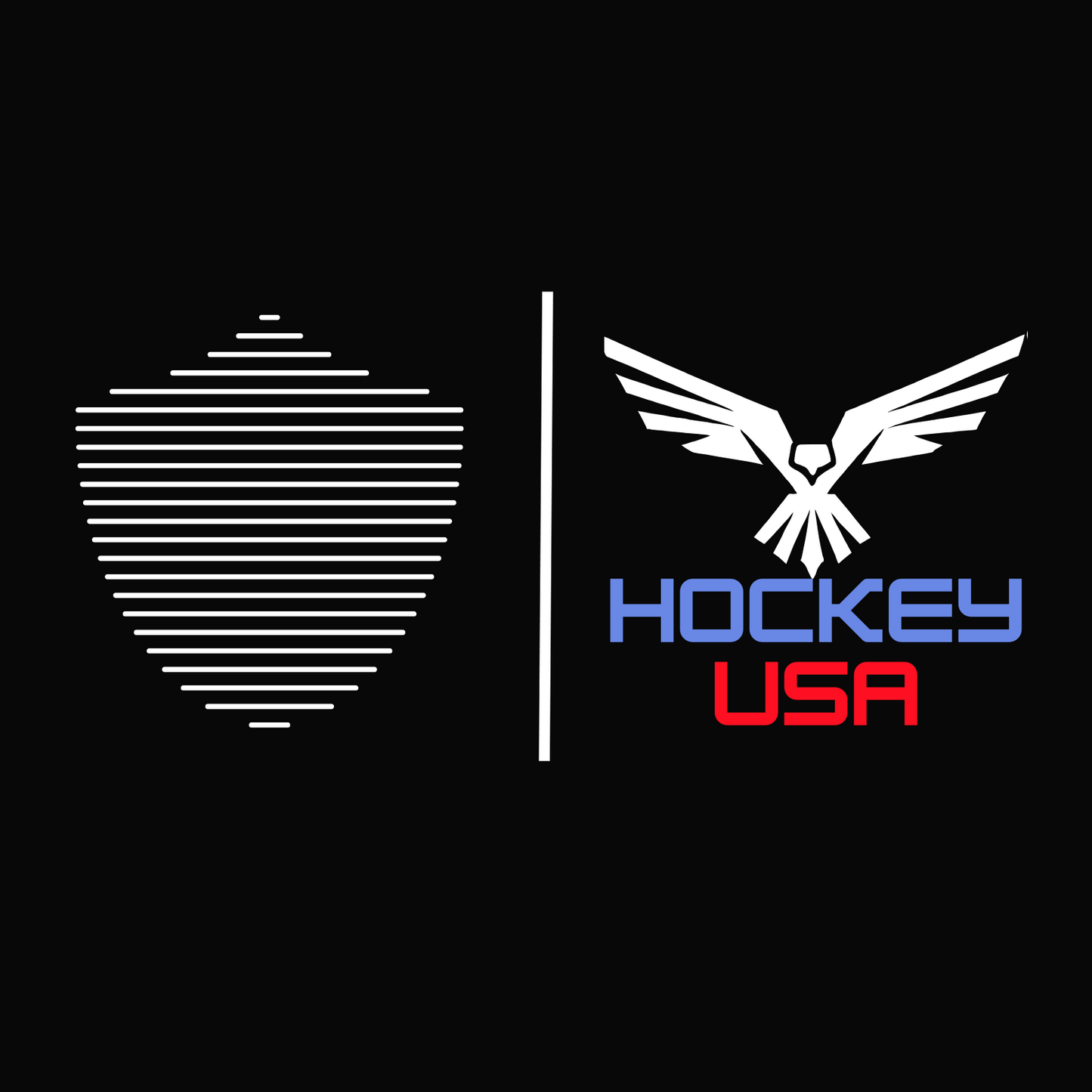 Men's hockey tee, black. S+F custom logo design, USA hockey II.