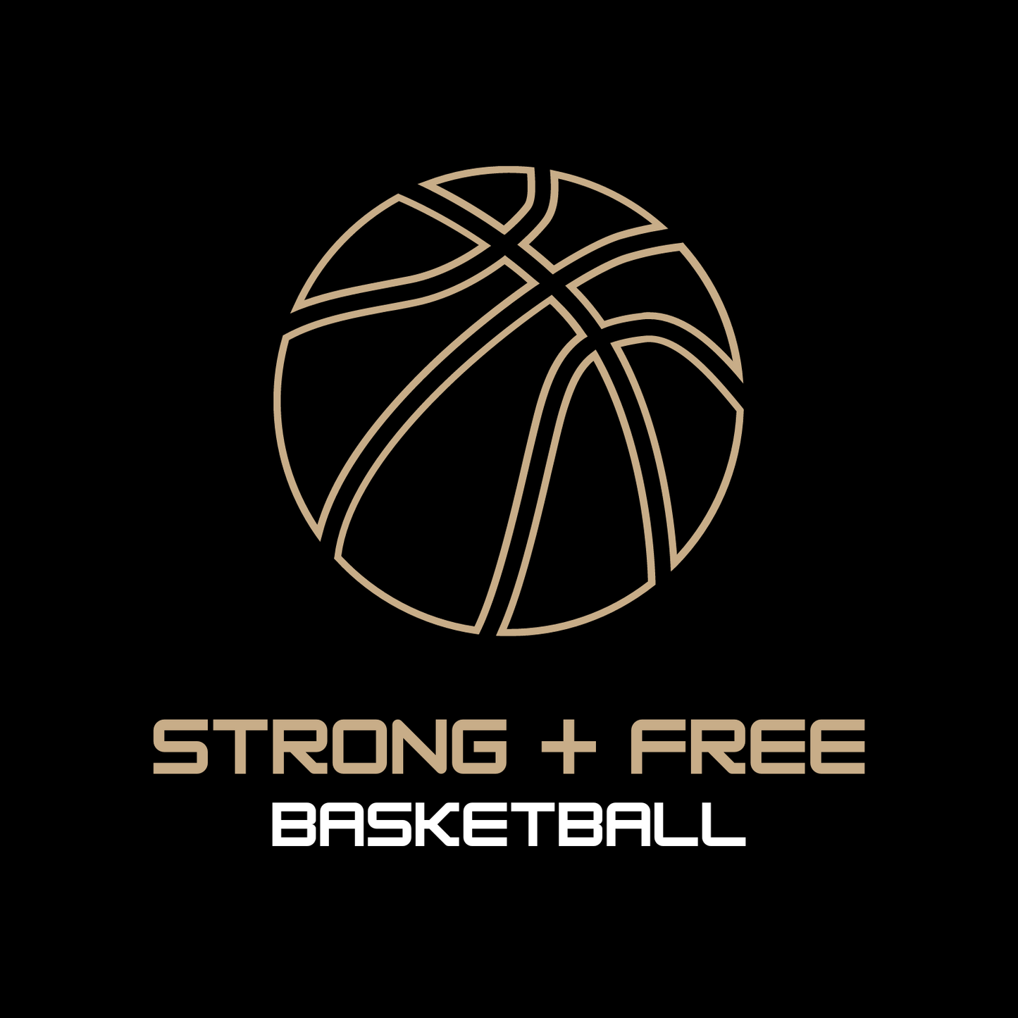 Basketball tee, black. S+F signature bball logo design.
