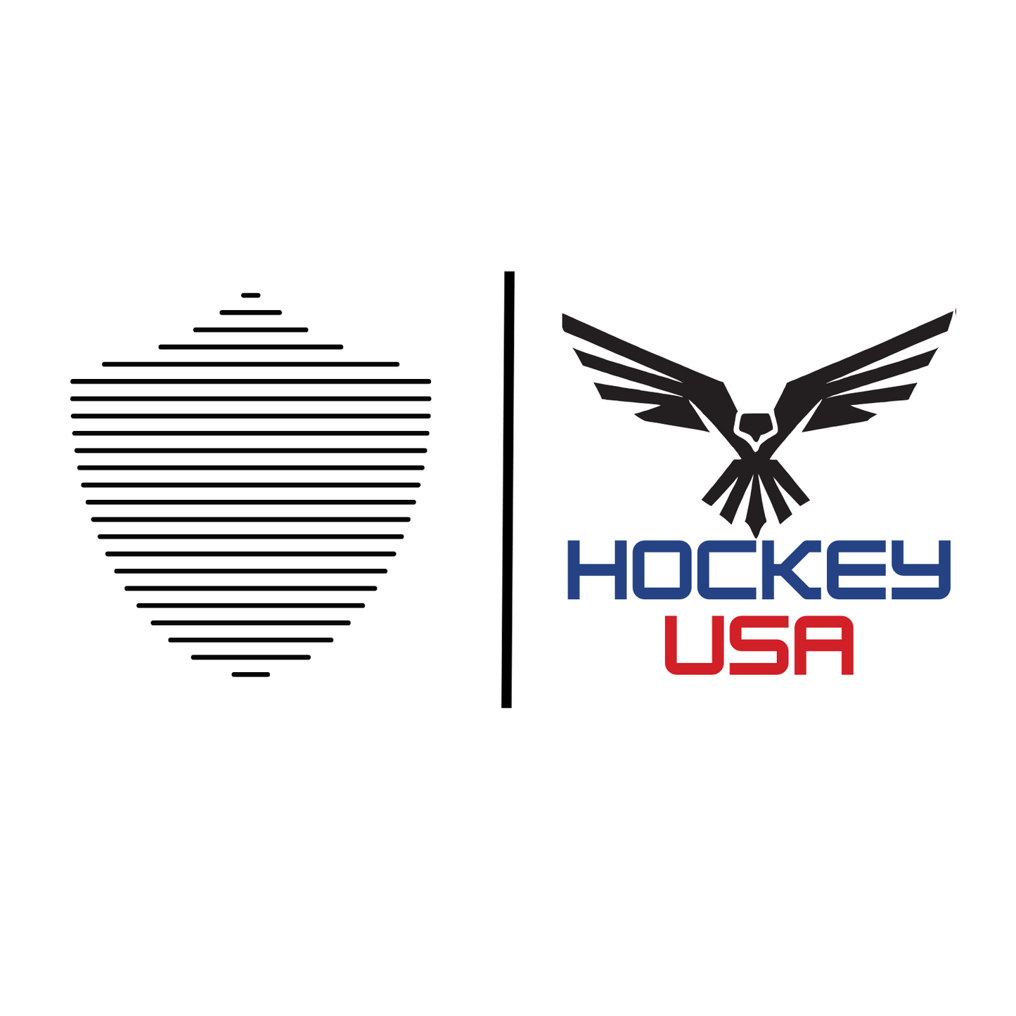 Men's hockey tee, white. S+F custom logo design, USA hockey II.