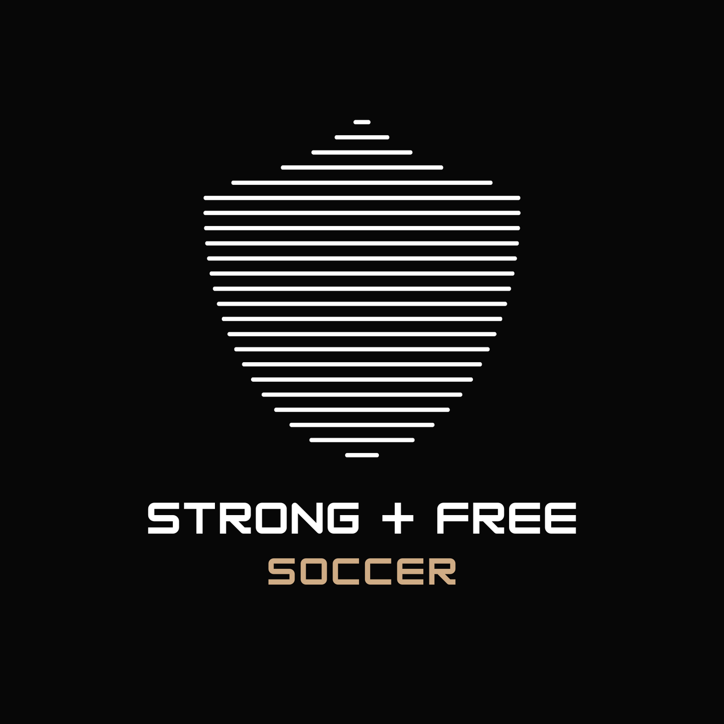 Soccer tee, black. S+F signature shield design.