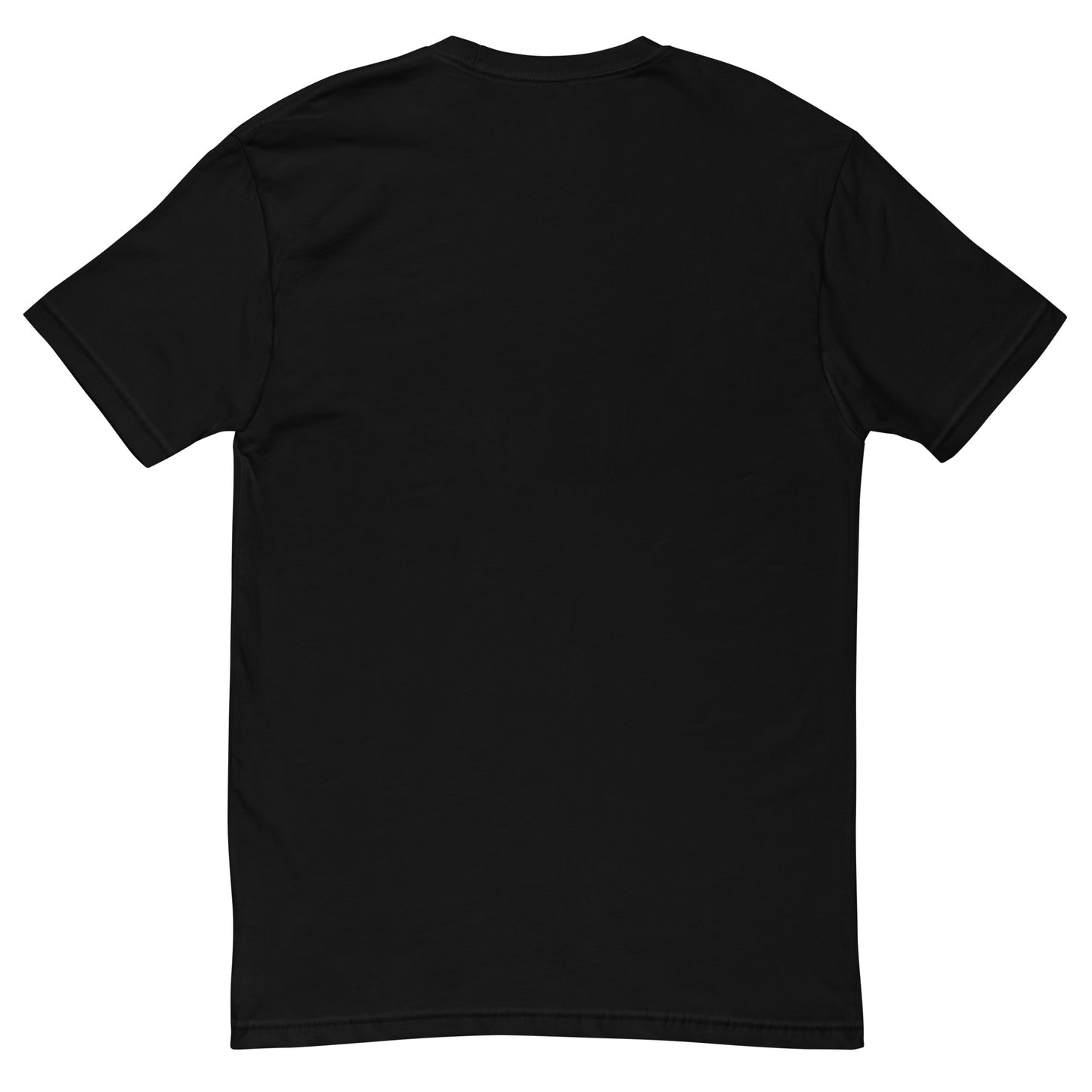 Men's tee, various colors. S+F custom pickleball logo design, blue crest.