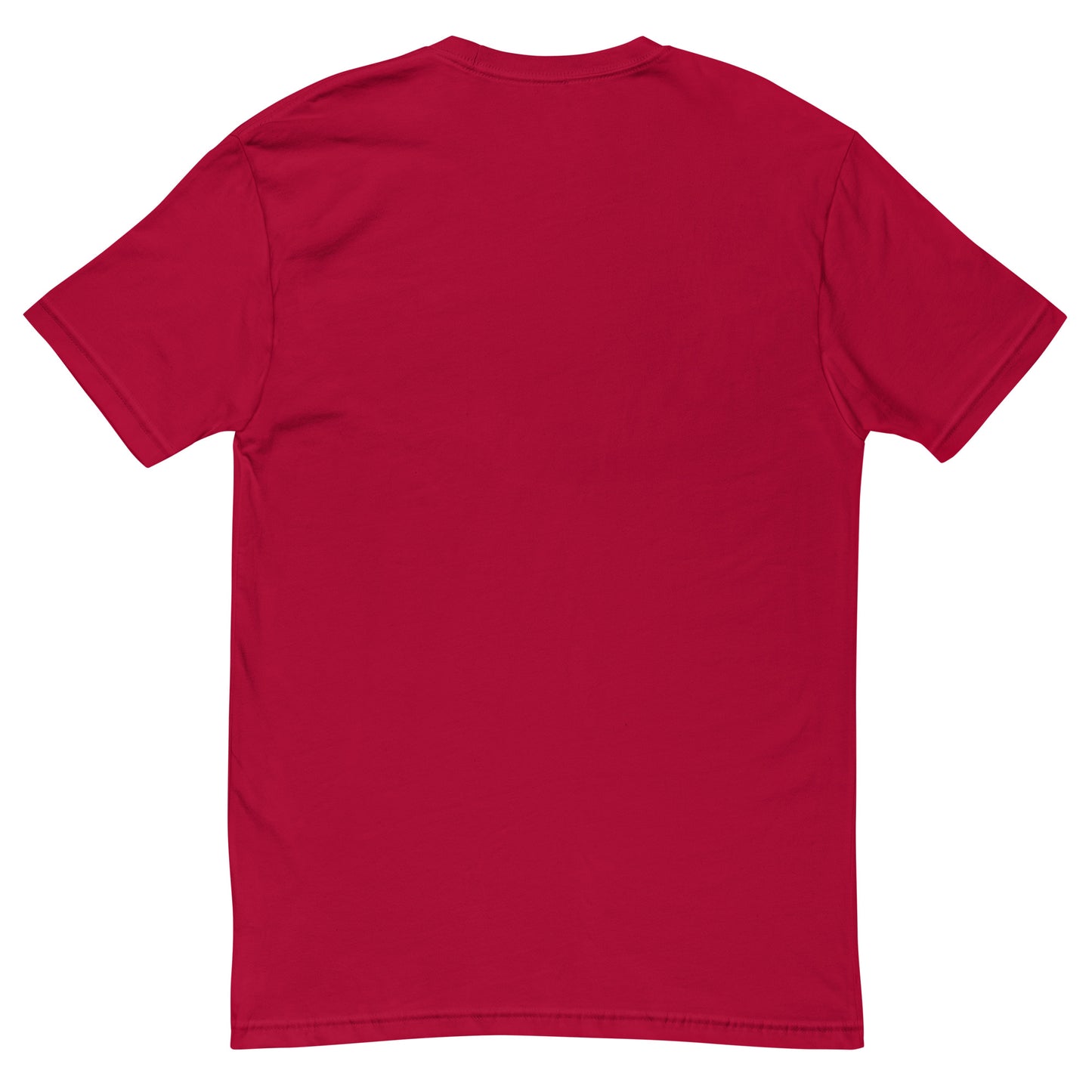 Men's tee, various colors. S+F custom pickleball logo design, blue crest.