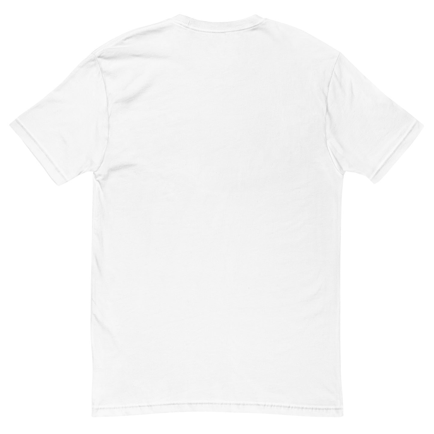 Men's tee, various colors. S+F custom pickleball logo design, blue crest.
